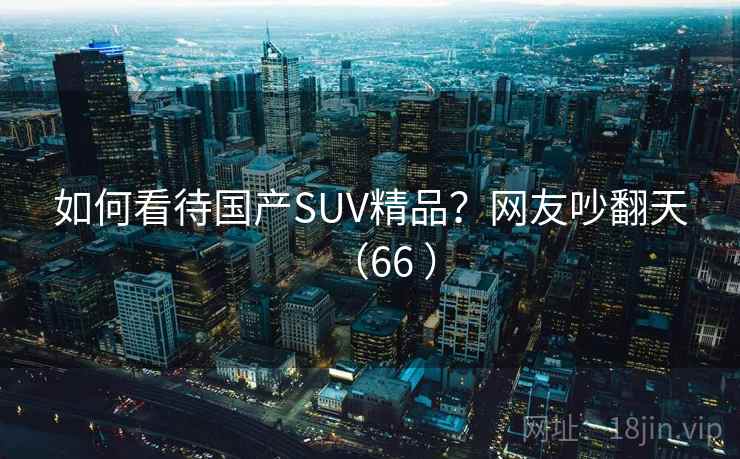 如何看待国产SUV精品?网友吵翻天(66 ) 如何看待国产SUV精品?网友吵翻天(66 )