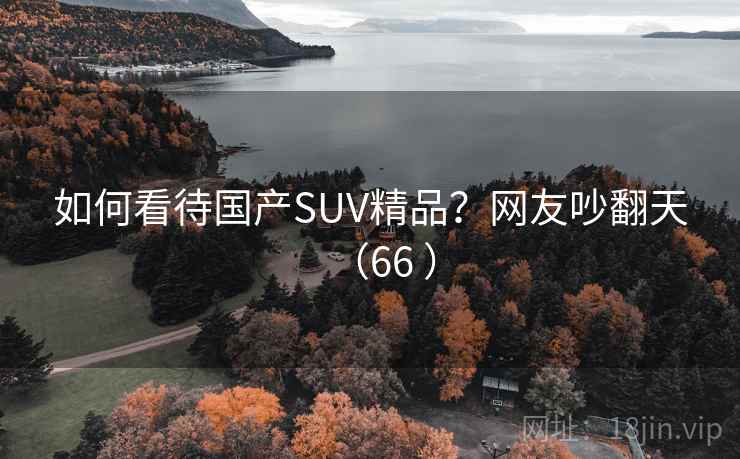 如何看待国产SUV精品?网友吵翻天(66 ) 如何看待国产SUV精品?网友吵翻天(66 )